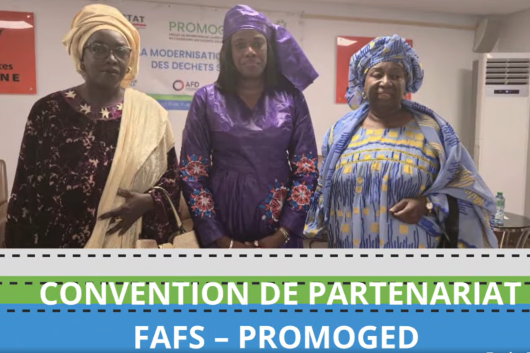 FAFS - PROMOGED