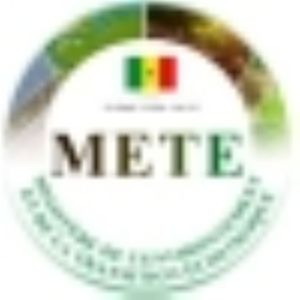 logo METE